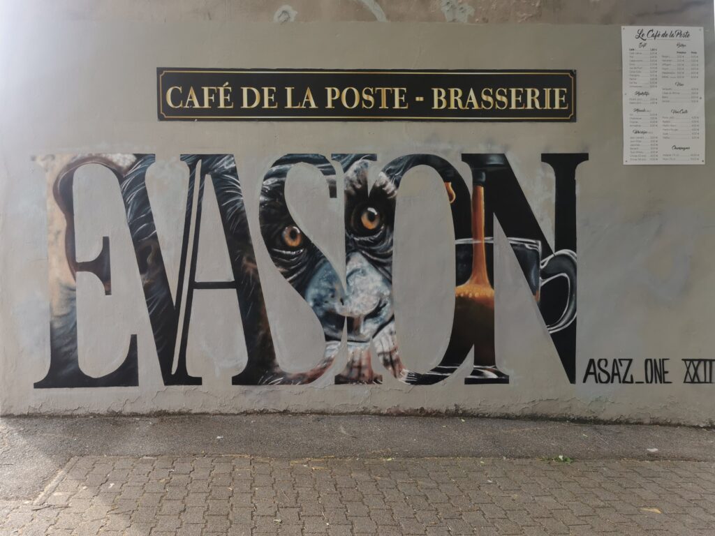 graffiti-singe-café-grenoble-tag